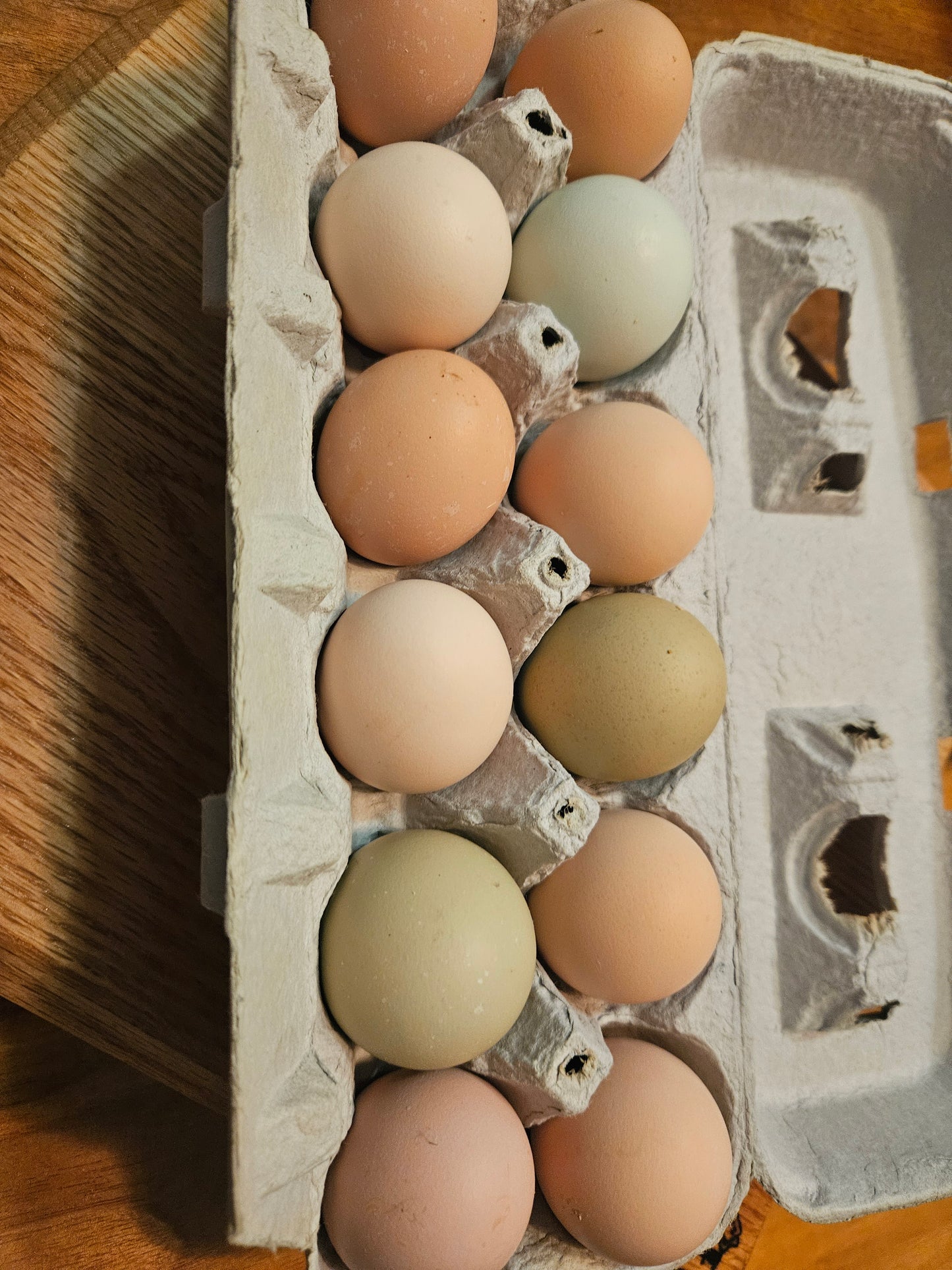 Eggs
