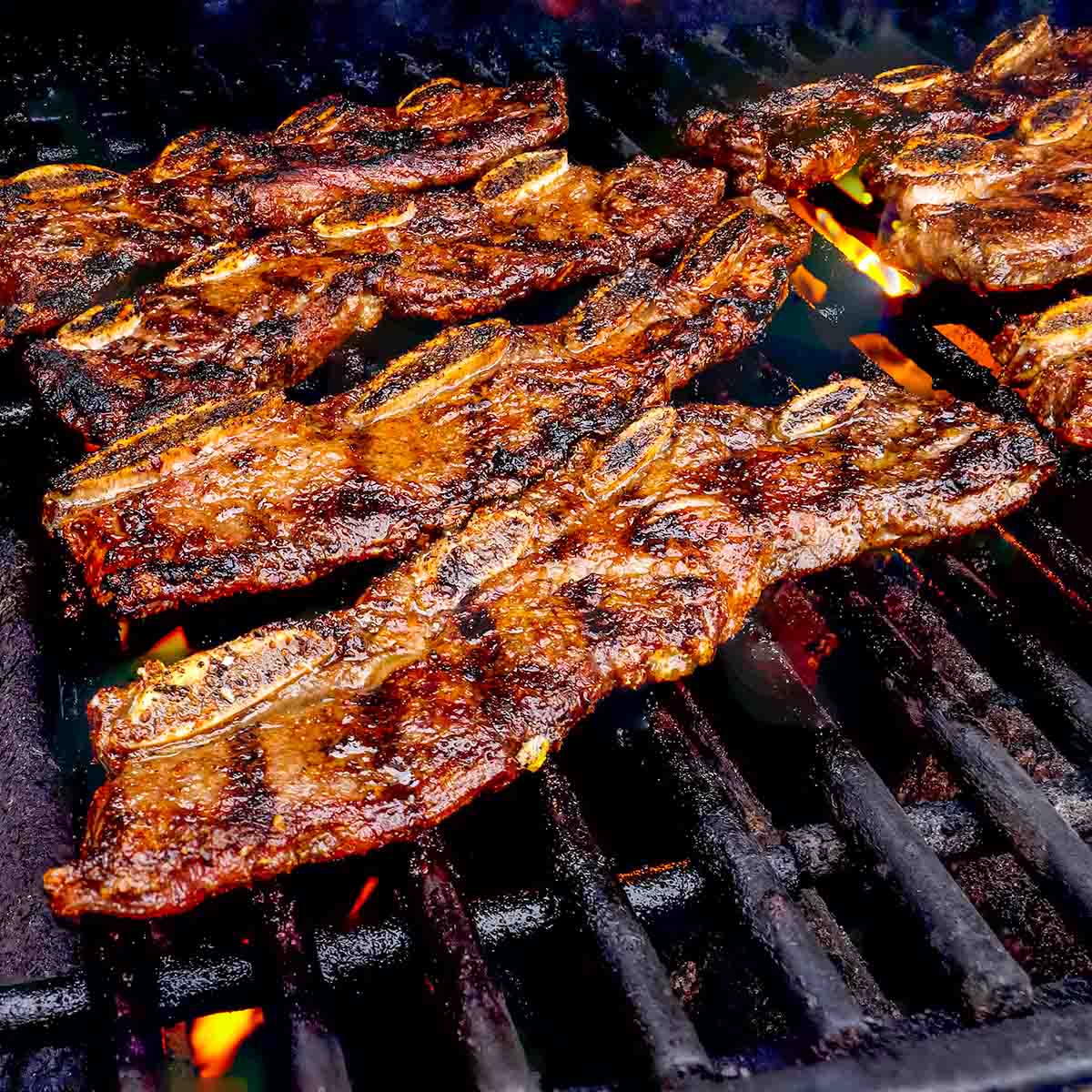 Beef short ribs